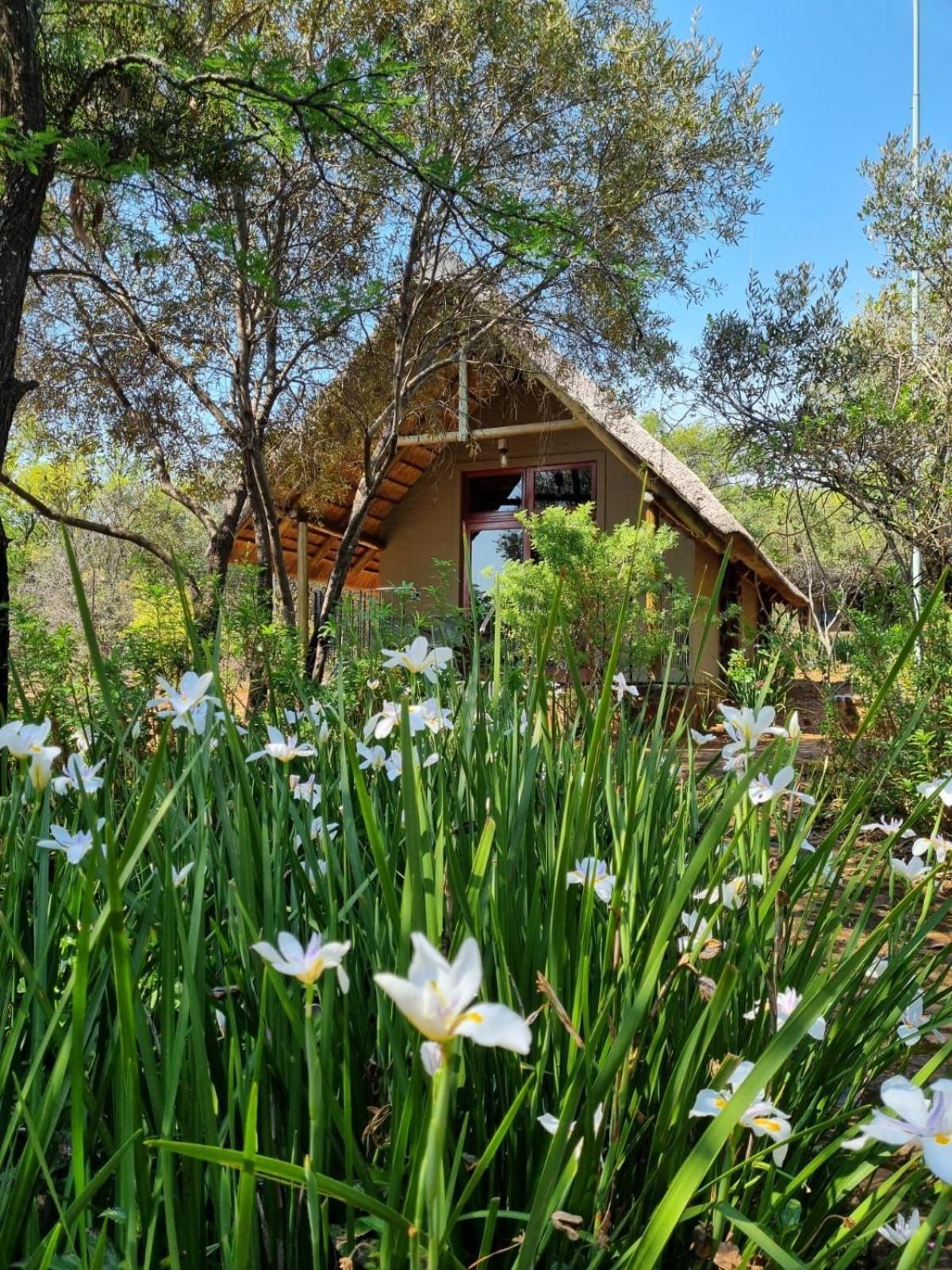 Tidimalo Lodge Рюстенбург Экстерьер фото